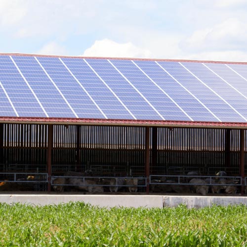 hangar-agricole-solaire-02