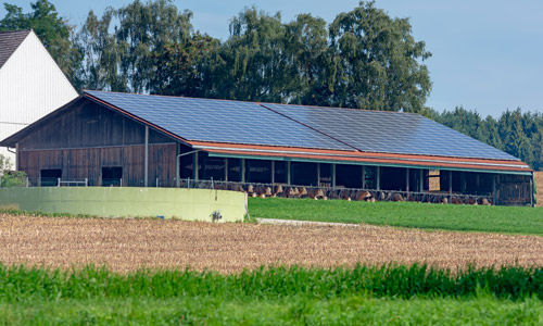 hangar-agricole-solaire